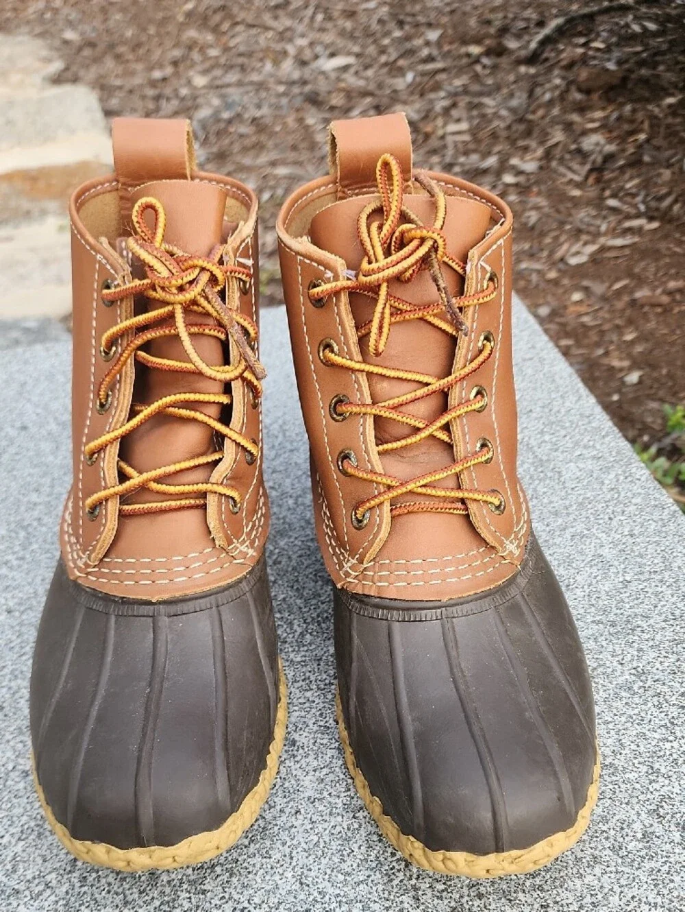 LL Bean 6
